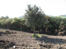 19-Aprile-09 (8).html